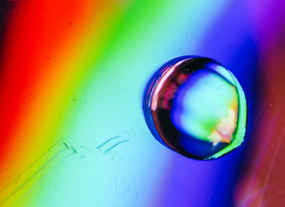 Auteur : Léon&nbsp;Festinger